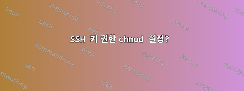 SSH 키 권한 chmod 설정?