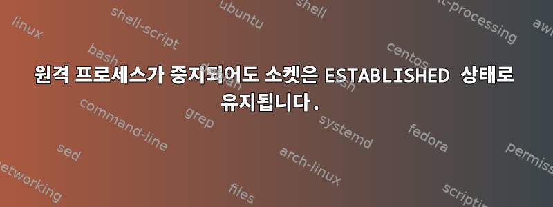 원격 프로세스가 중지되어도 소켓은 ESTABLISHED 상태로 유지됩니다.