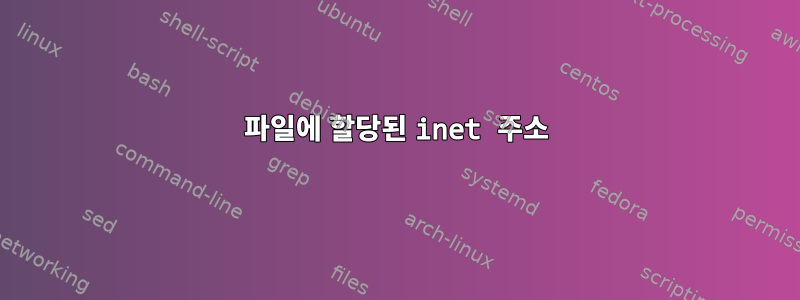 파일에 할당된 inet 주소