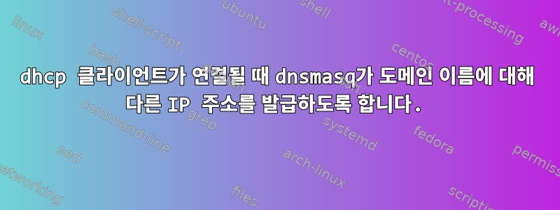 dhcp 클라이언트가 연결될 때 dnsmasq가 도메인 이름에 대해 다른 IP 주소를 발급하도록 합니다.