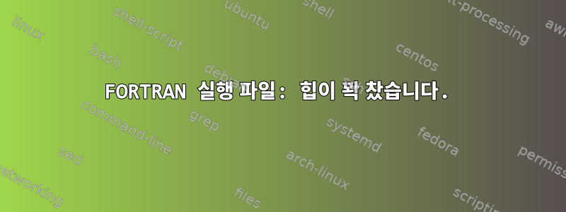 FORTRAN 실행 파일: 힙이 꽉 찼습니다.