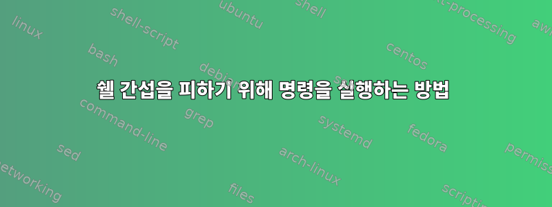 쉘 간섭을 피하기 위해 명령을 실행하는 방법