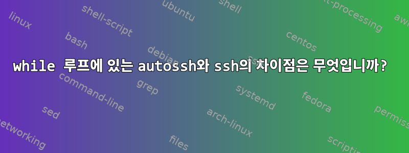 while 루프에 있는 autossh와 ssh의 차이점은 무엇입니까?