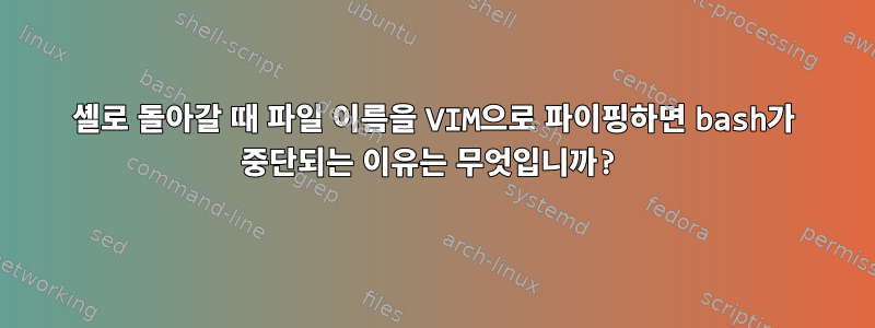 셸로 돌아갈 때 파일 이름을 VIM으로 파이핑하면 bash가 중단되는 이유는 무엇입니까?