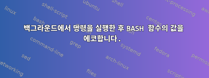 백그라운드에서 명령을 실행한 후 BASH 함수의 값을 에코합니다.