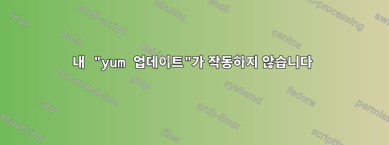 내 "yum 업데이트"가 작동하지 않습니다