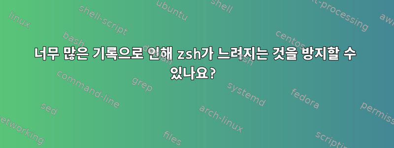 너무 많은 기록으로 인해 zsh가 느려지는 것을 방지할 수 있나요?