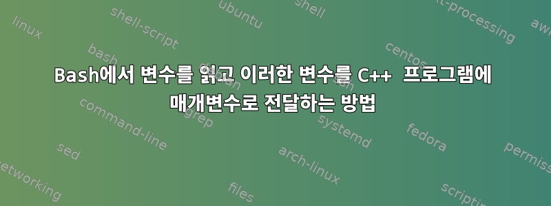 Bash에서 변수를 읽고 이러한 변수를 C++ 프로그램에 매개변수로 전달하는 방법