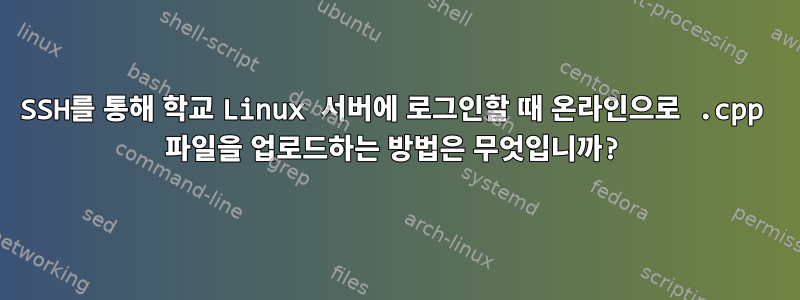 SSH를 통해 학교 Linux 서버에 로그인할 때 온라인으로 .cpp 파일을 업로드하는 방법은 무엇입니까?