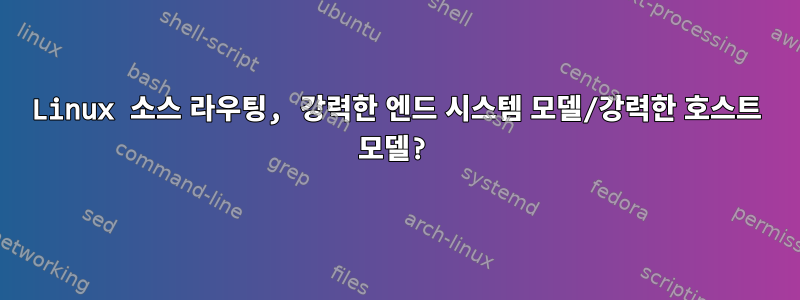 Linux 소스 라우팅, 강력한 엔드 시스템 모델/강력한 호스트 모델?