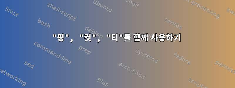 "핑", "컷", "티"를 함께 사용하기