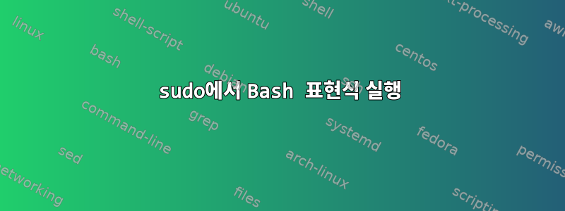 sudo에서 Bash 표현식 실행