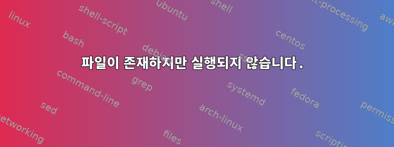 파일이 존재하지만 실행되지 않습니다.