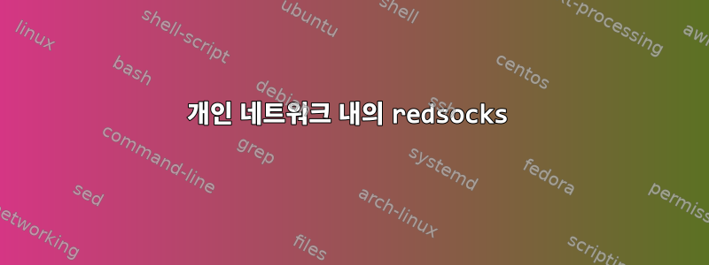 개인 네트워크 내의 redsocks