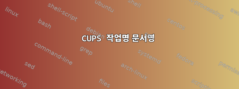 CUPS 작업명 문서명