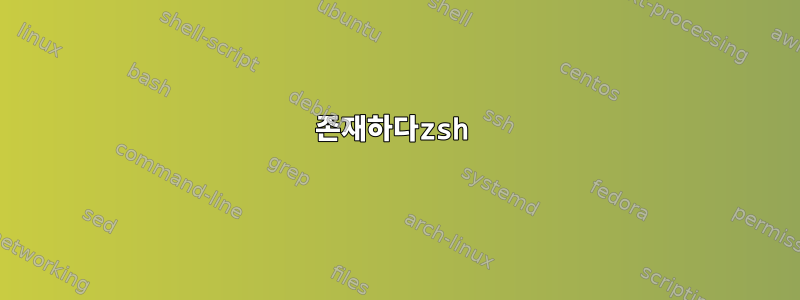 존재하다zsh