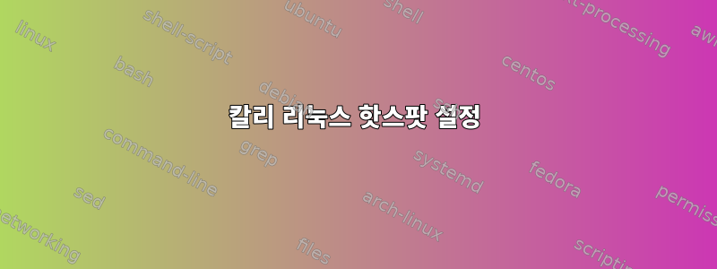 칼리 리눅스 핫스팟 설정