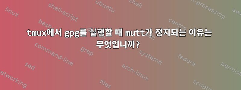 tmux에서 gpg를 실행할 때 mutt가 정지되는 이유는 무엇입니까?