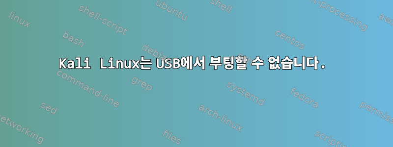 Kali Linux는 USB에서 부팅할 수 없습니다.