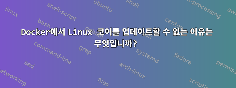 Docker에서 Linux 코어를 업데이트할 수 없는 이유는 무엇입니까?