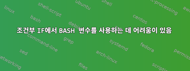 조건부 IF에서 BASH 변수를 사용하는 데 어려움이 있음