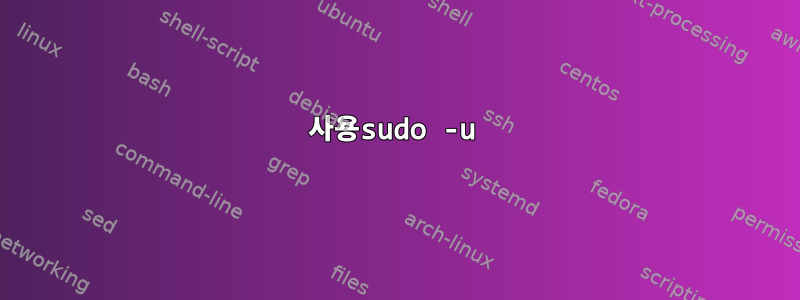 사용sudo -u