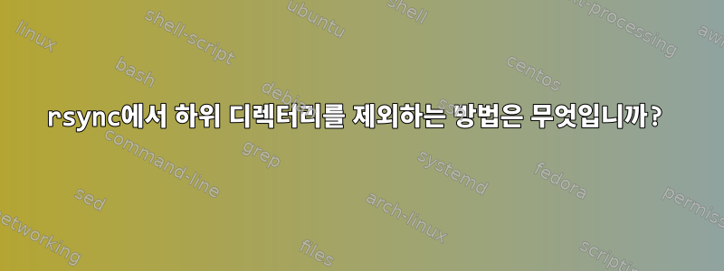 rsync에서 하위 디렉터리를 제외하는 방법은 무엇입니까?