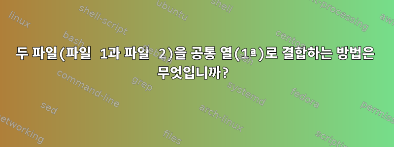 두 파일(파일 1과 파일 2)을 공통 열(1ª)로 결합하는 방법은 무엇입니까?