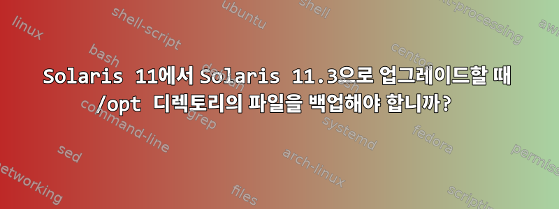 Solaris 11에서 Solaris 11.3으로 업그레이드할 때 /opt 디렉토리의 파일을 백업해야 합니까?