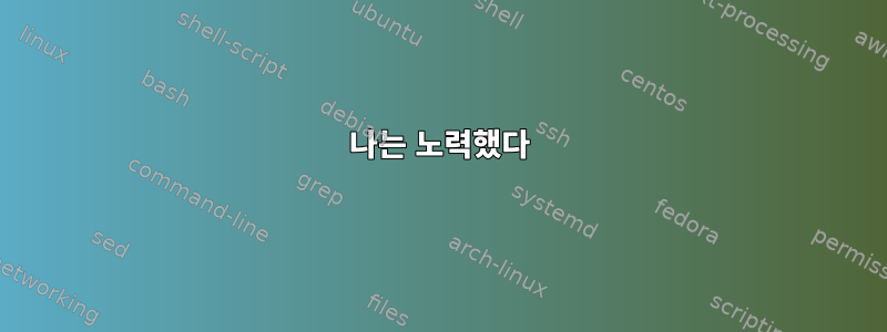 나는 노력했다