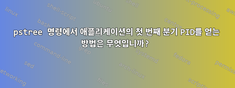 pstree 명령에서 애플리케이션의 첫 번째 분기 PID를 얻는 방법은 무엇입니까?