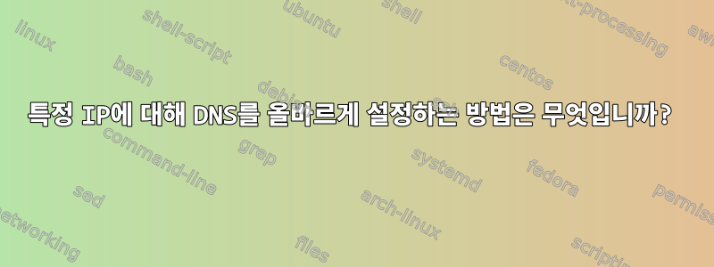 특정 IP에 대해 DNS를 올바르게 설정하는 방법은 무엇입니까?