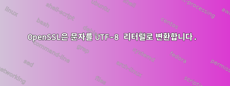 OpenSSL은 문자를 UTF-8 리터럴로 변환합니다.