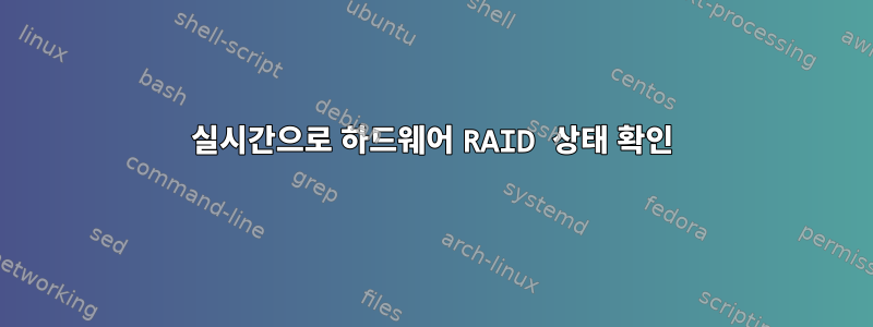 실시간으로 하드웨어 RAID 상태 확인