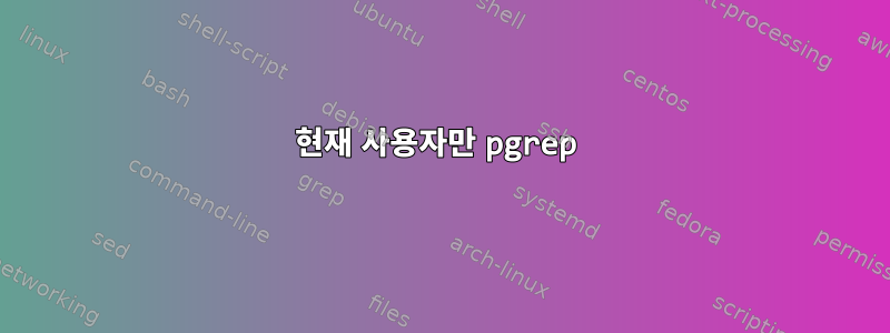 현재 사용자만 pgrep