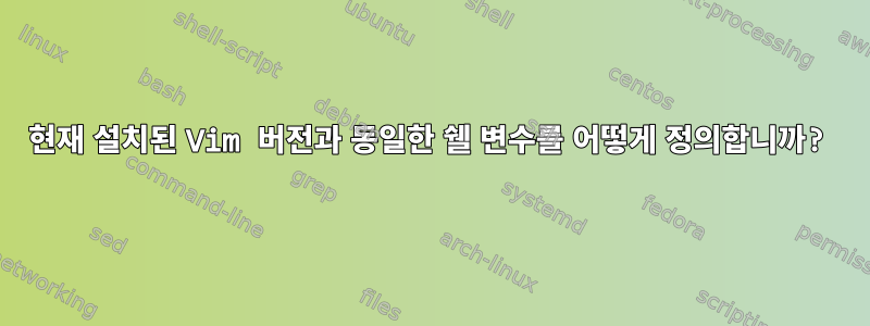 현재 설치된 Vim 버전과 동일한 쉘 변수를 어떻게 정의합니까?