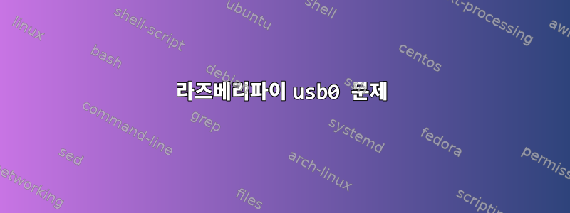 라즈베리파이 usb0 문제