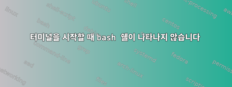 터미널을 시작할 때 bash 쉘이 나타나지 않습니다