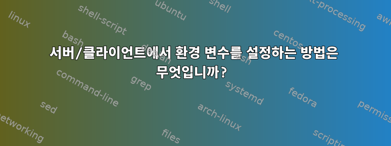 서버/클라이언트에서 환경 변수를 설정하는 방법은 무엇입니까?