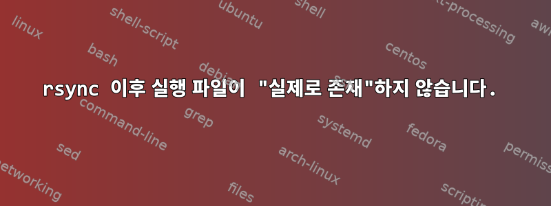 rsync 이후 실행 파일이 "실제로 존재"하지 않습니다.