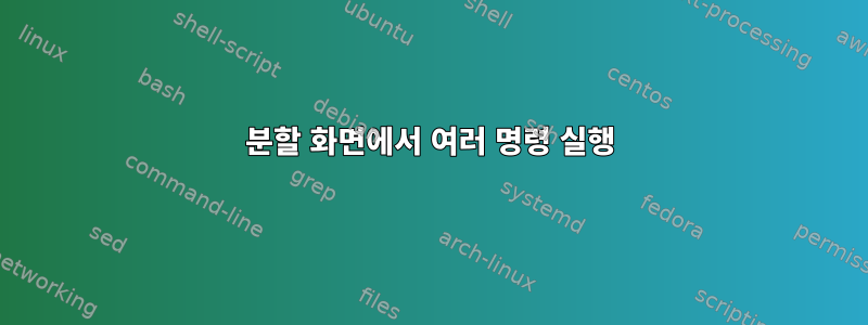 분할 화면에서 여러 명령 실행