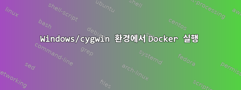 Windows/cygwin 환경에서 Docker 실행