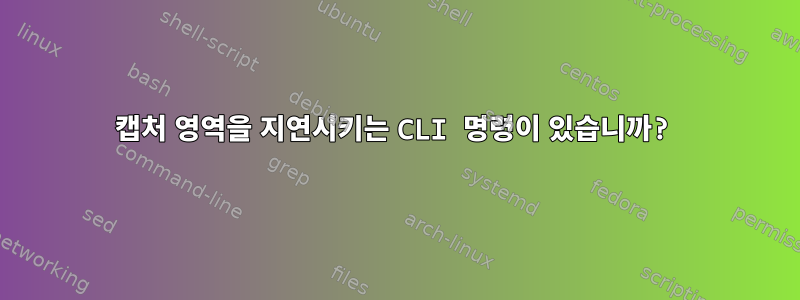 캡처 영역을 지연시키는 CLI 명령이 있습니까?