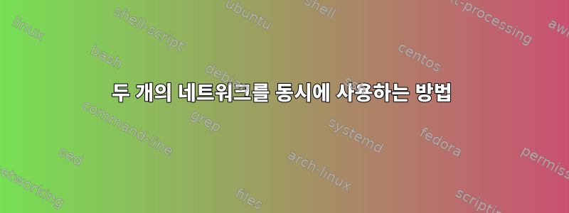 두 개의 네트워크를 동시에 사용하는 방법