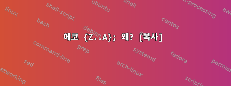 에코 {Z..A}; 왜? [복사]