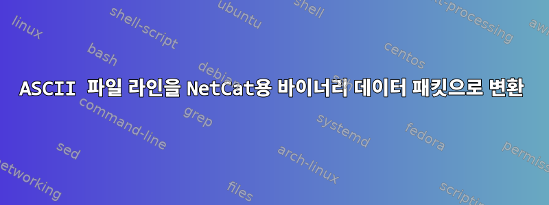 ASCII 파일 라인을 NetCat용 바이너리 데이터 패킷으로 변환