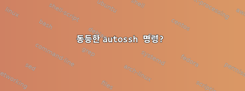 동등한 autossh 명령?