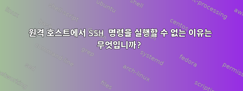 원격 호스트에서 SSH 명령을 실행할 수 없는 이유는 무엇입니까?