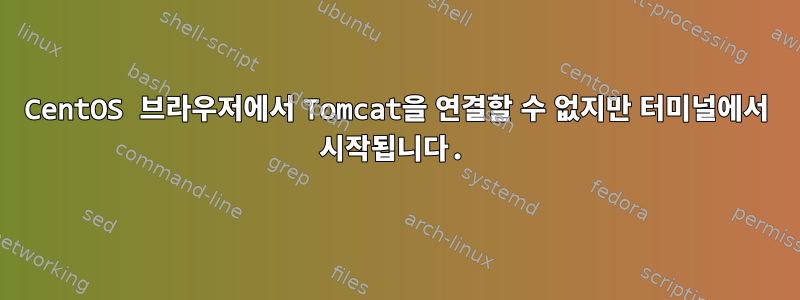 CentOS 브라우저에서 Tomcat을 연결할 수 없지만 터미널에서 시작됩니다.