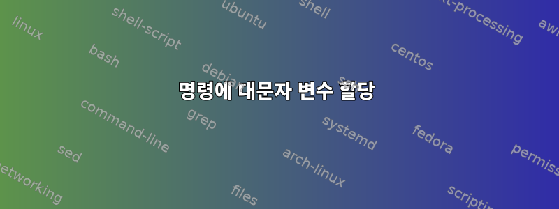 명령에 대문자 변수 할당